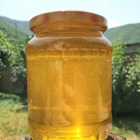 Miere floarea soarelui