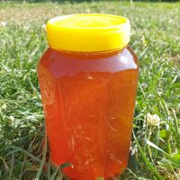 Miere pădure