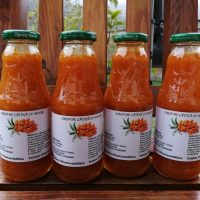 Sirop de cătină cu miere