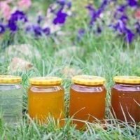 Pachet 4 kg miere (salcâm, tei, polifloră, pădure)