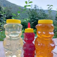 Familie de ursuleți