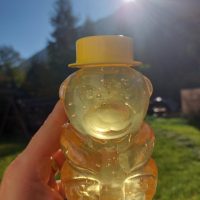 Ursuleț cu miere de salcâm