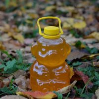 Ursuleț – 3 kg miere tei